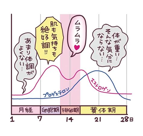 生理前 sex|生理前になると性欲が高まるって本当？ 産婦人科医がアンサー！